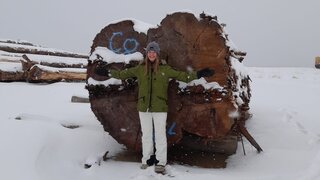 Eine Person steht lächelnd vor einem großen, durchgeschnittenen Baumstamm, umgeben von Schnee. Sie trägt eine grüne Jacke und eine Mütze.